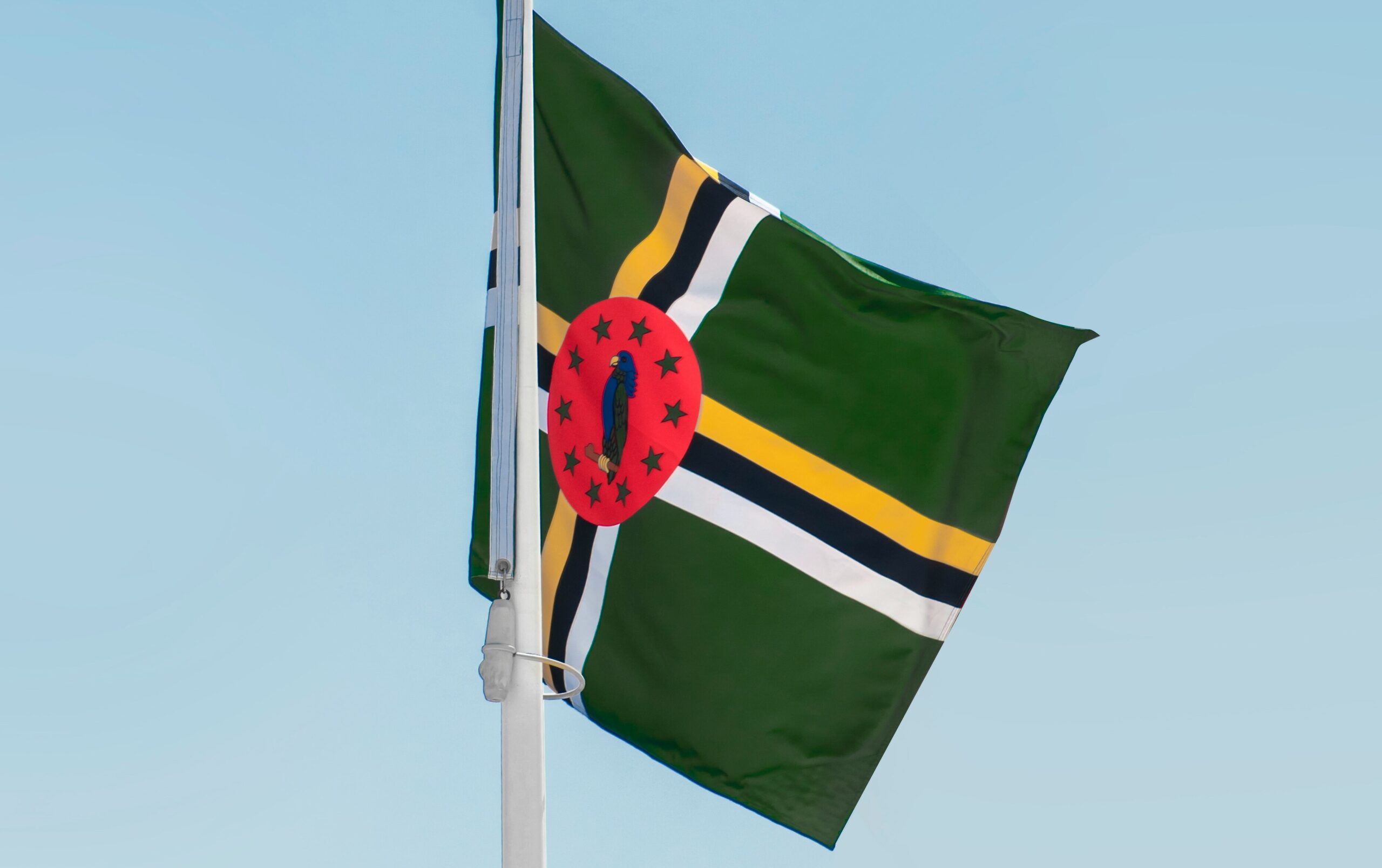 Dominica flag